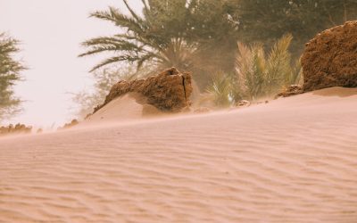 Viaggio verso la serenità: alla scoperta delle oasi di relax nel mondo