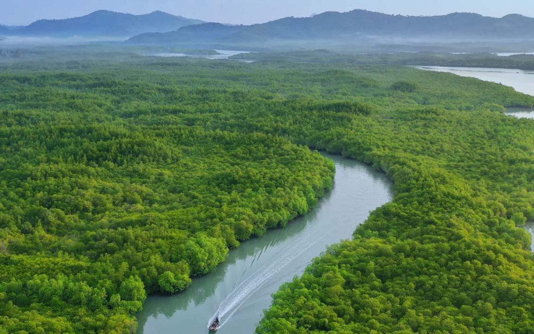 Paradiso tropicale: alla scoperta delle foreste pluviali della Terra