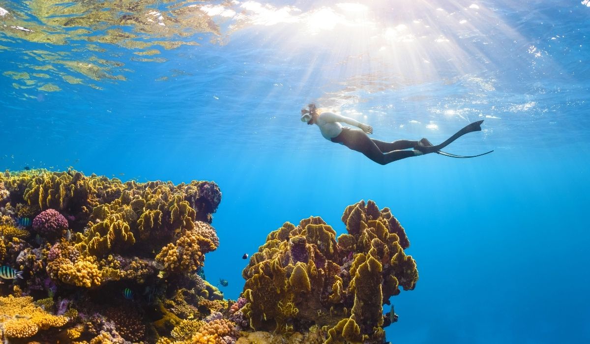 Fare snorkeling a Bayahibe