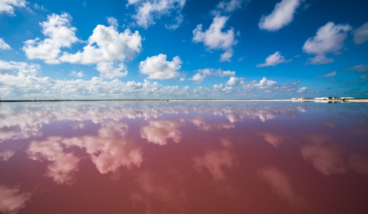 Le lagune rosa di Las Coloradas