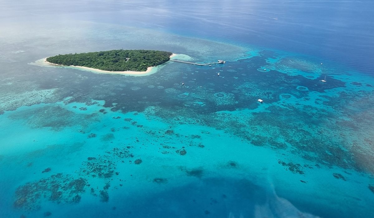 Osservare la barriera corallina dal ponte di una crociera locale