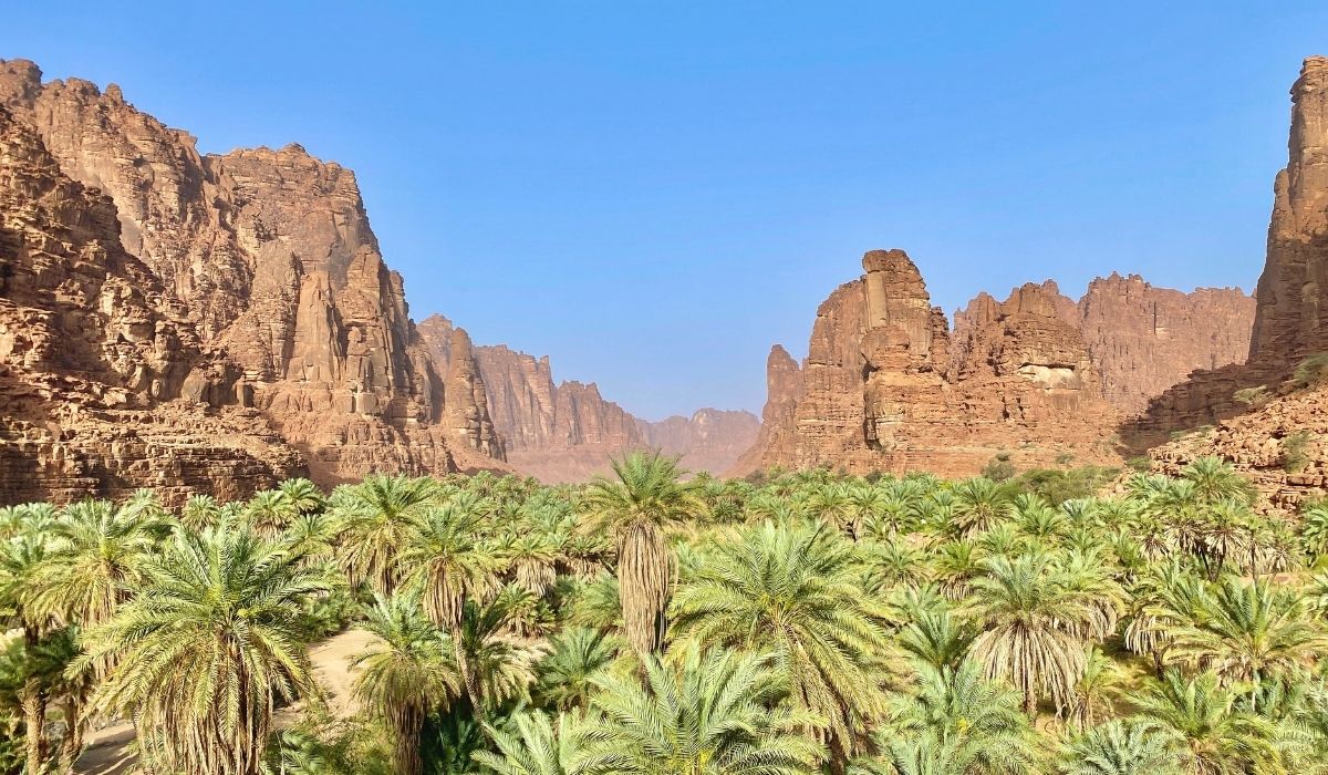 Wadi Al Disah Tabuk arabia saudita cercavacanze torino
