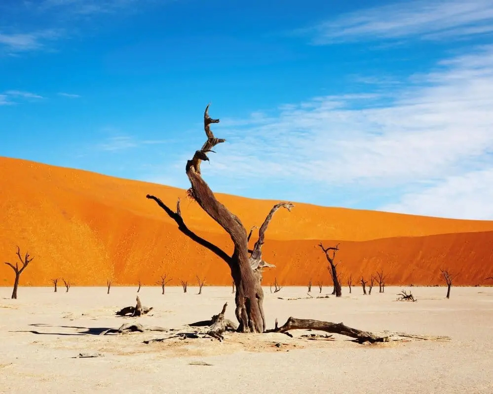 travel explore tour fotografico namibia viaggi obiettivo meraviglia deserto