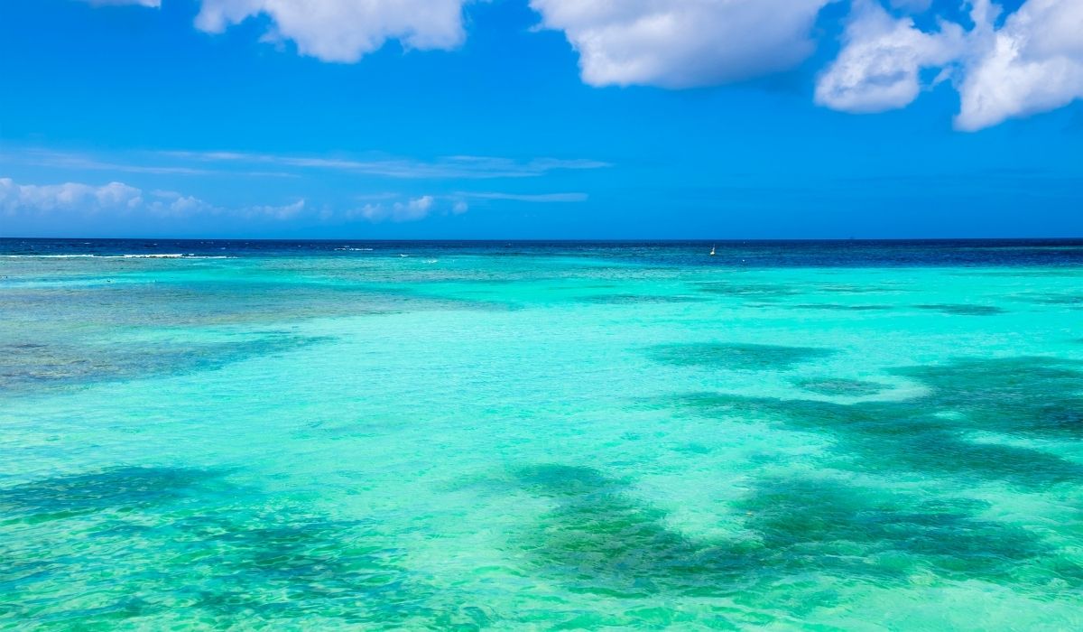 viaggi ad aruba da cercavacanze torino