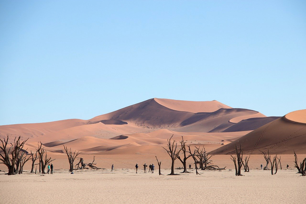 viaggio namibia sud africa deserto