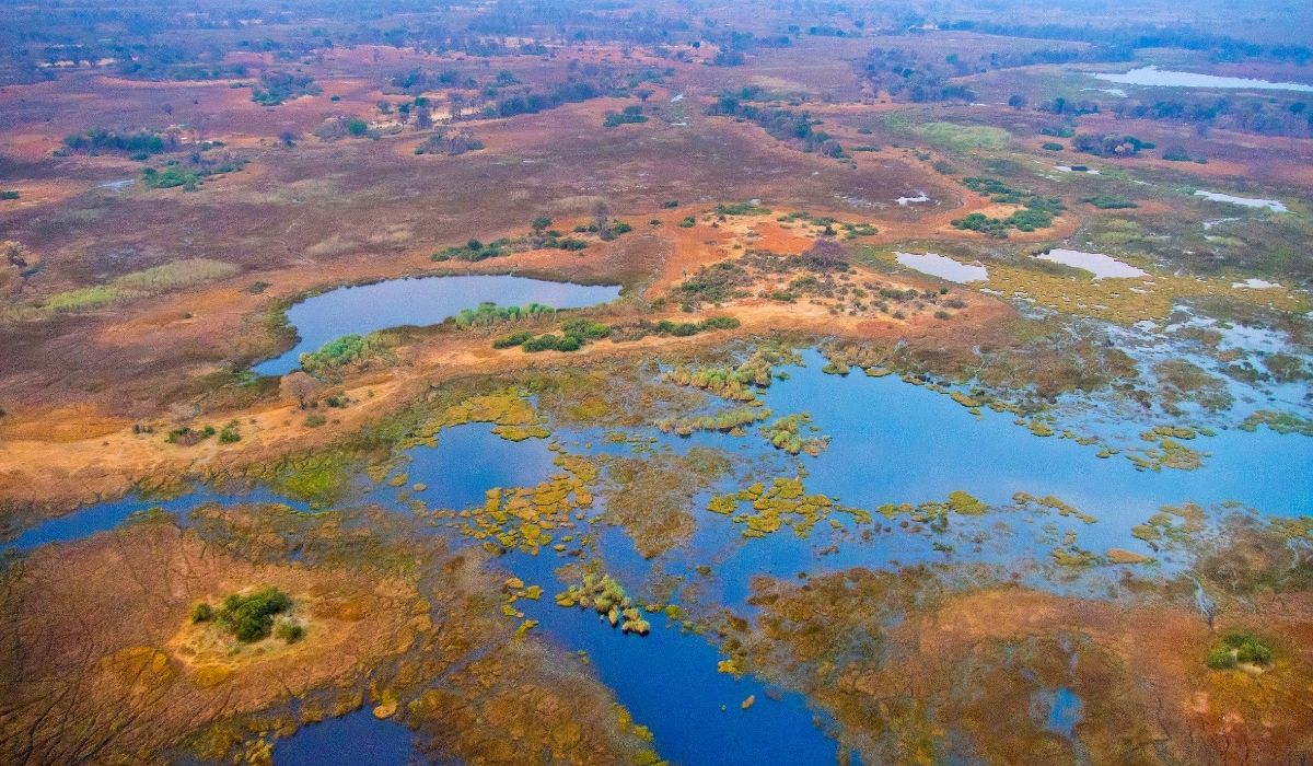 cosa fare in botswana prenota con agenzia viaggi torino