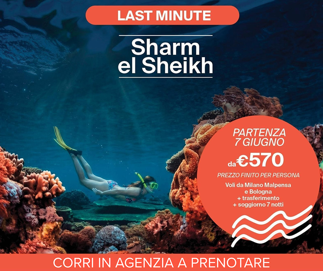 sharm el sheik last minute partenza giugno vacanza egitto