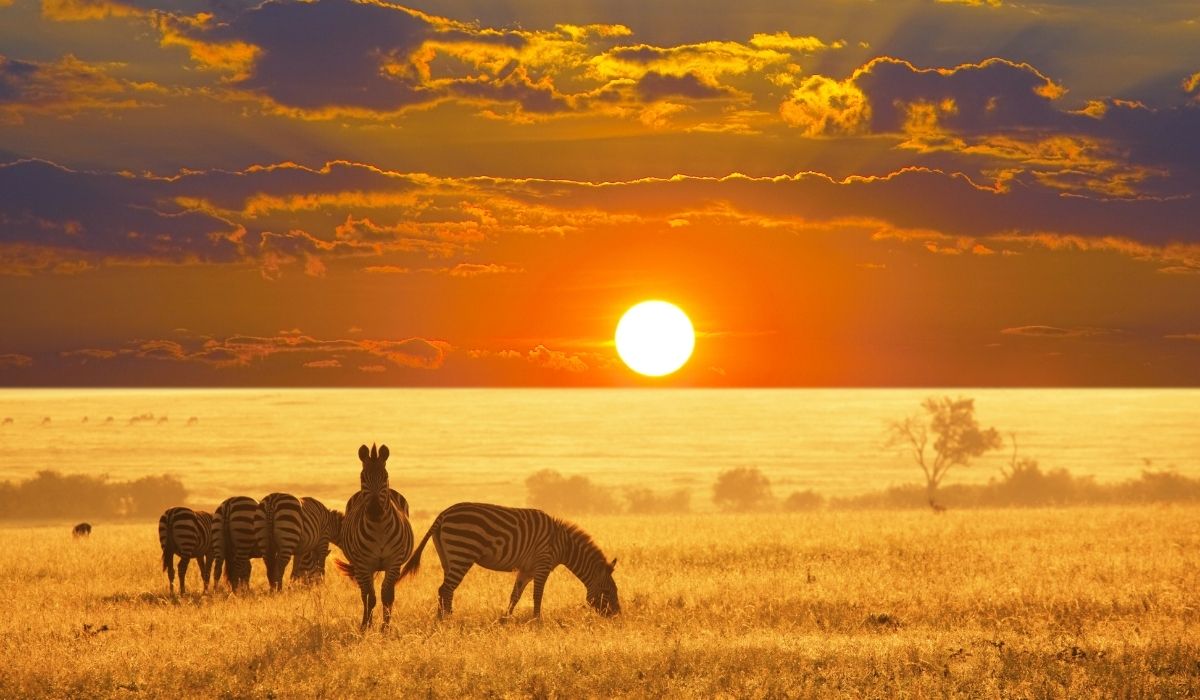 vacanza in namibia prenotazione viaggio