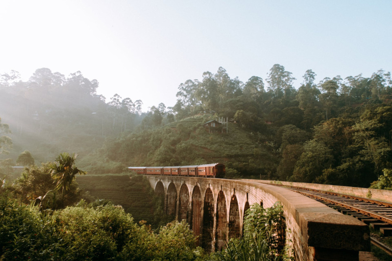 viaggi sri lanka ponte foresta treno