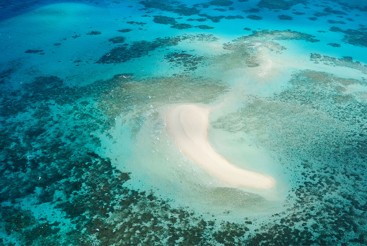 viaggio australia michaelmas cay great barrier reef queensland