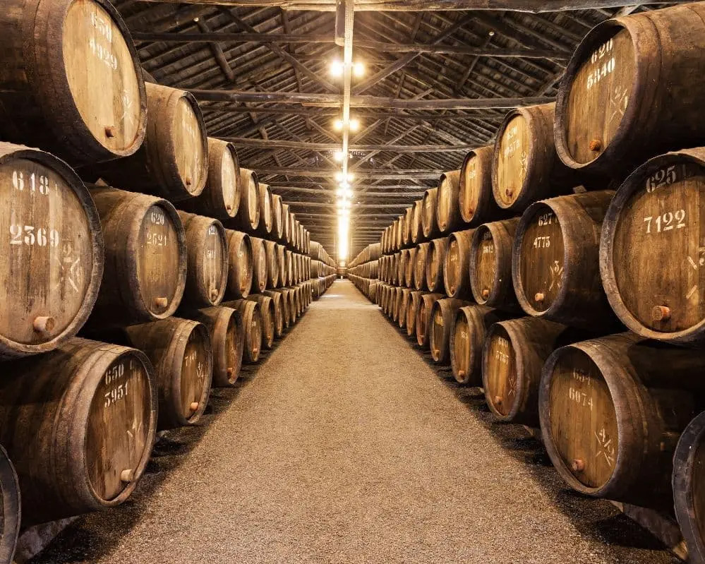 viaggio cercavacanze portogallo oporto porto vino botti cantina