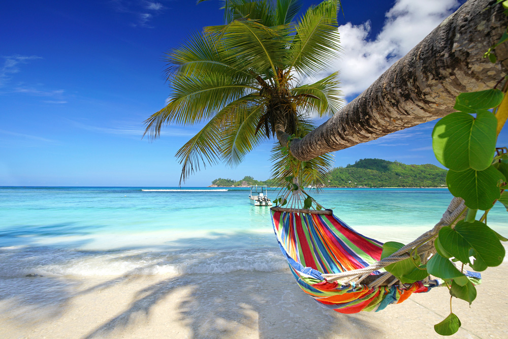 viaggio di nozze seychelles oceano indiano mare palme amaca spiaggia sabbia bianca