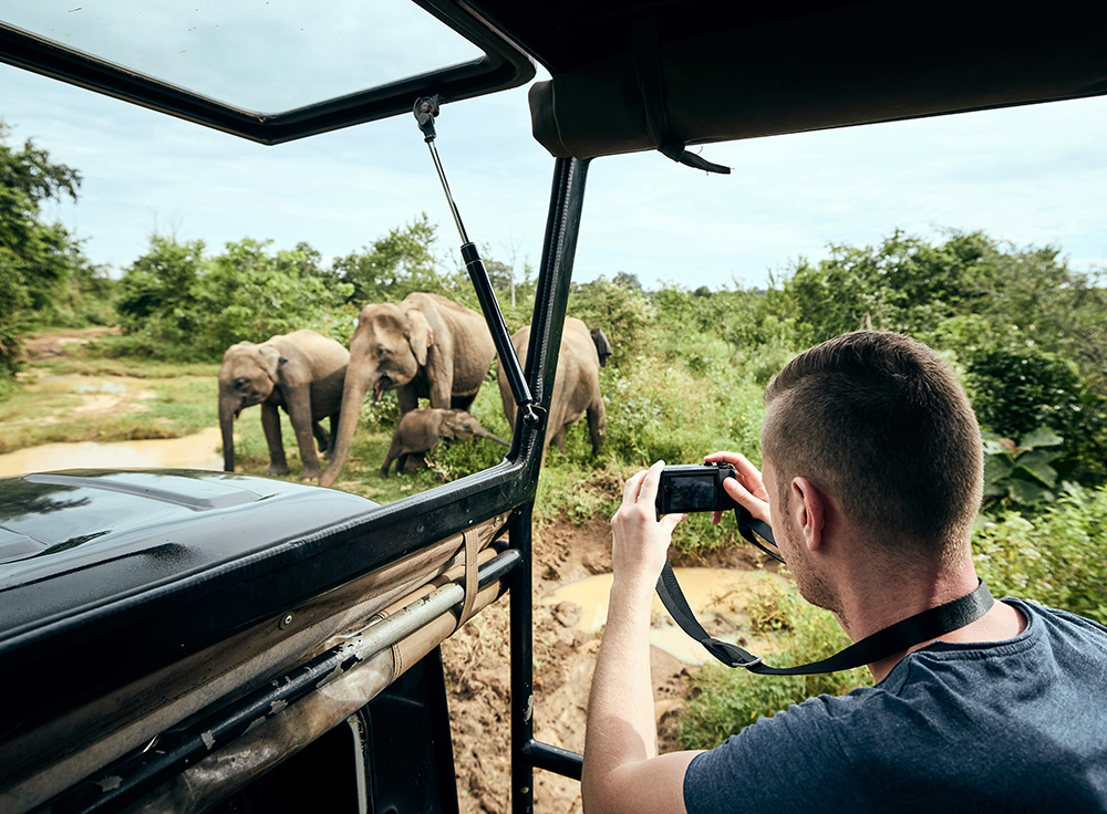 elefanti sudafrica viaggio cercavacanze safari fotografico africa