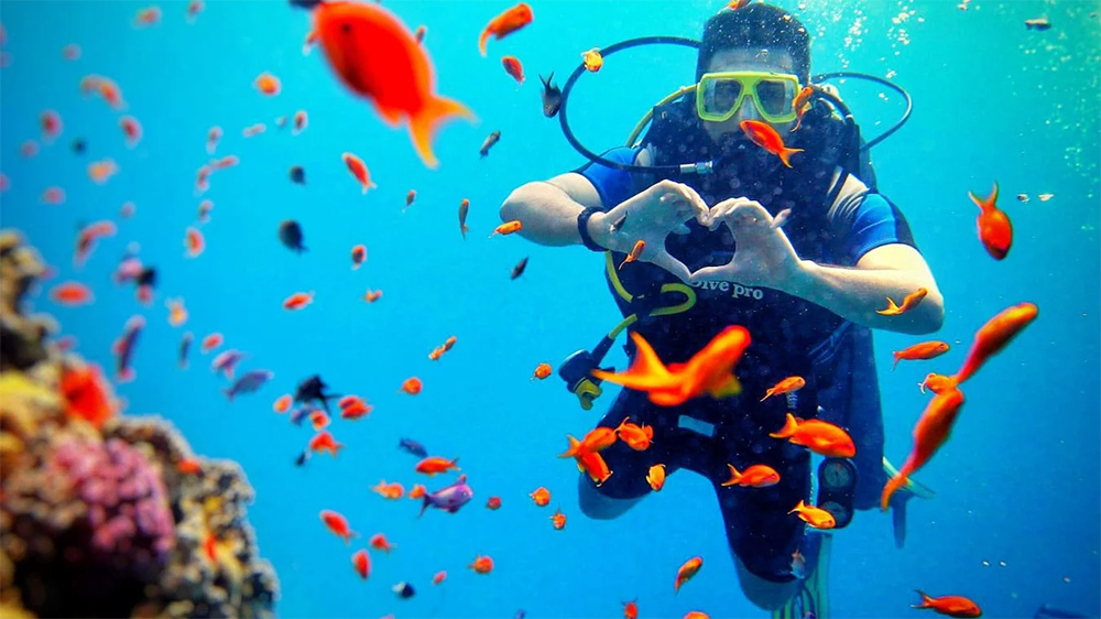 mar rosso snorkeling egitto marsa alam brixia club resort