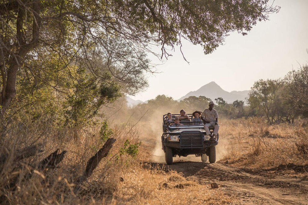 sudafrica viaggio cercavacanze safari fotografico africa