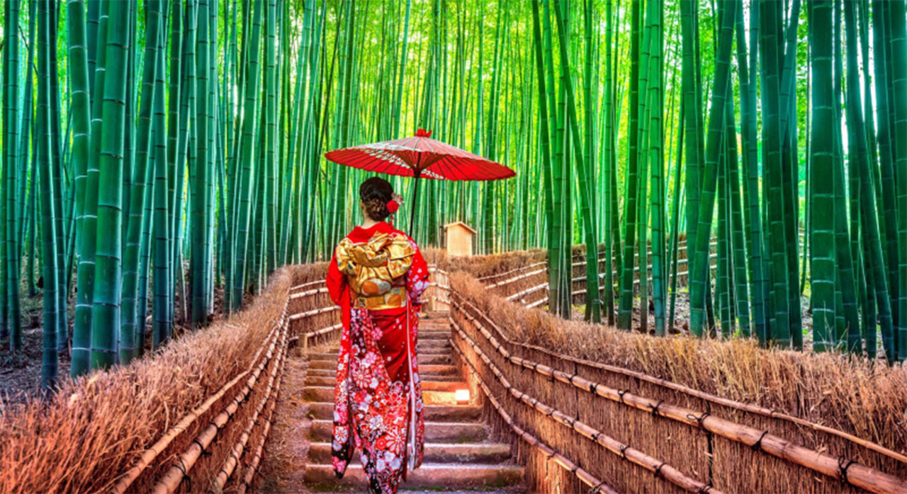 giappone viaggio foresta bambu donna kimono giapponese