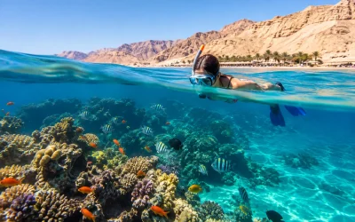 Spiagge egiziane per snorkeling da scegliere