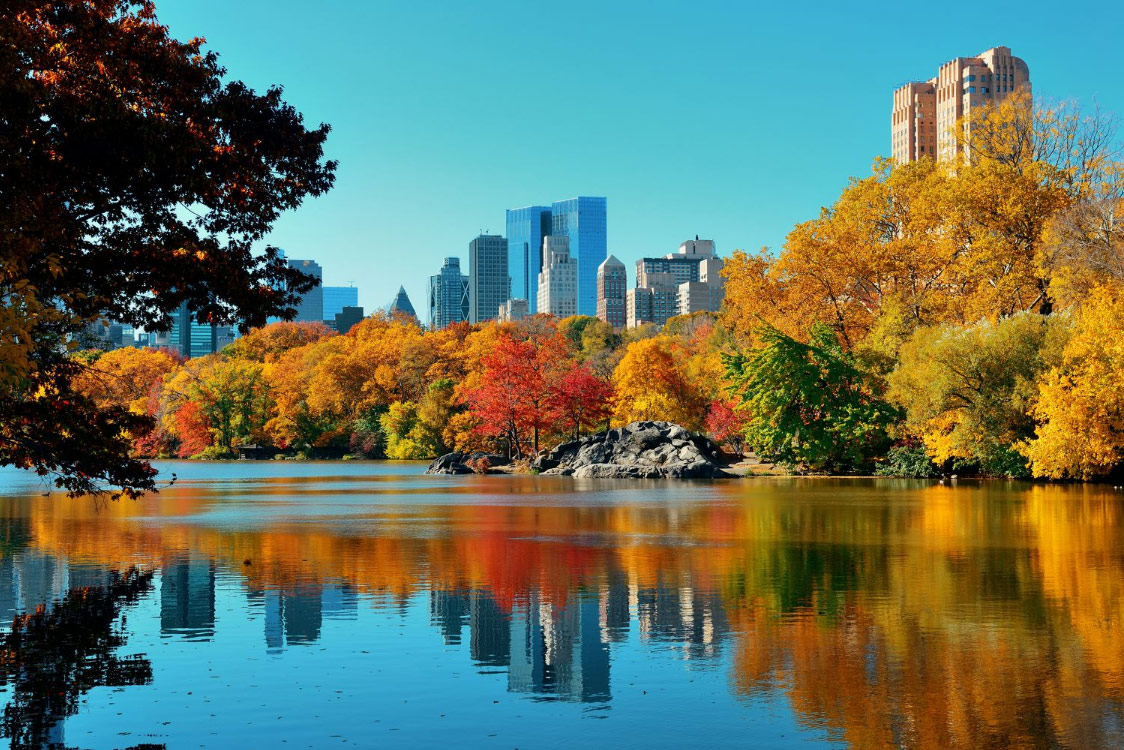 viaggio autunno foliage new york america halloween central park alberi